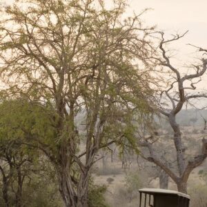 Selous to Zanzibar: Escape the Crowds in Tanzania